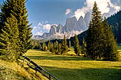 Trekking nel Parco Naturale Puez-Odle. Dall'Alpe Col Raiser (2100 m) alla Val di Funes. La Val di Funes. 